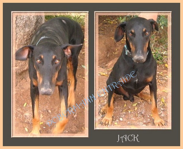 JACK 4 ans (E) Jack110