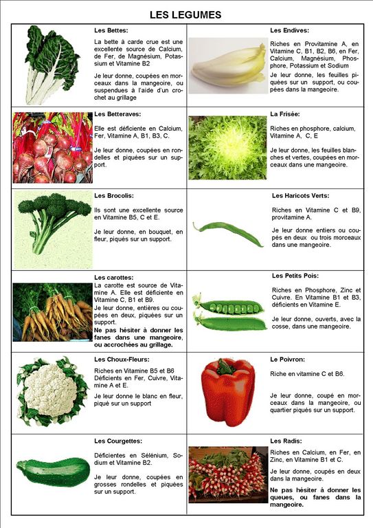 quels fruits et légume? 5_tabl10