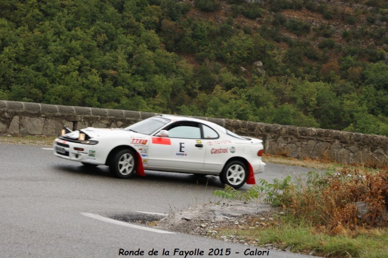 10ème Ronde de la Fayolle 11 et 12 septembre 2015 - Page 4 Dsc07319