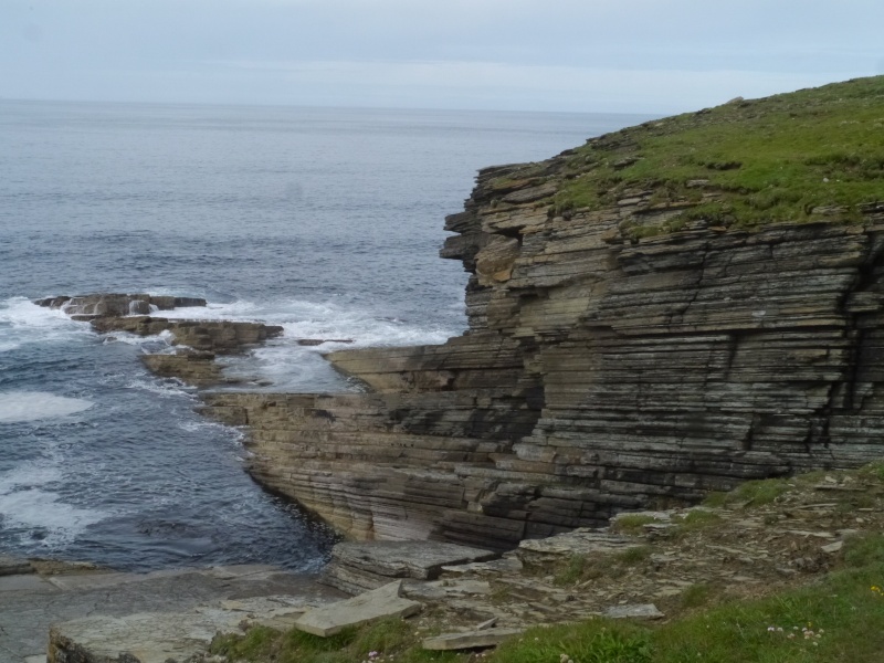 [Voyage 22 ] [ECOSSE] Îles Shetland & Orcades (Juil 2015)  P1710921