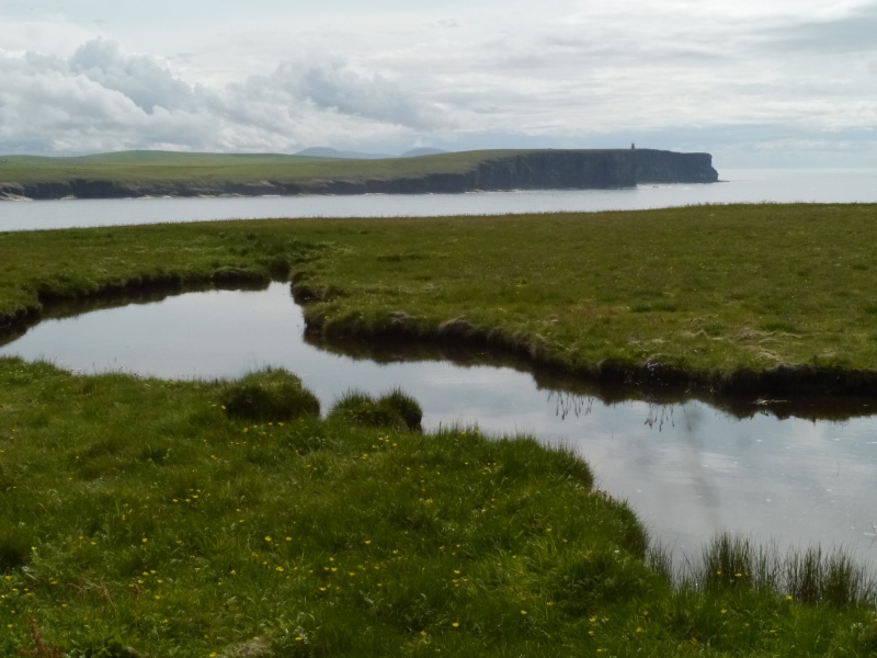 [Voyage 22 ] [ECOSSE] Îles Shetland & Orcades (Juil 2015)  P1720115