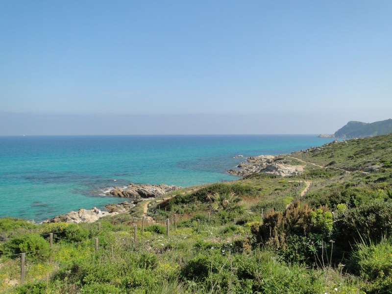 BALADE A LA PLAGE DE l'ESCALET Dsc08344