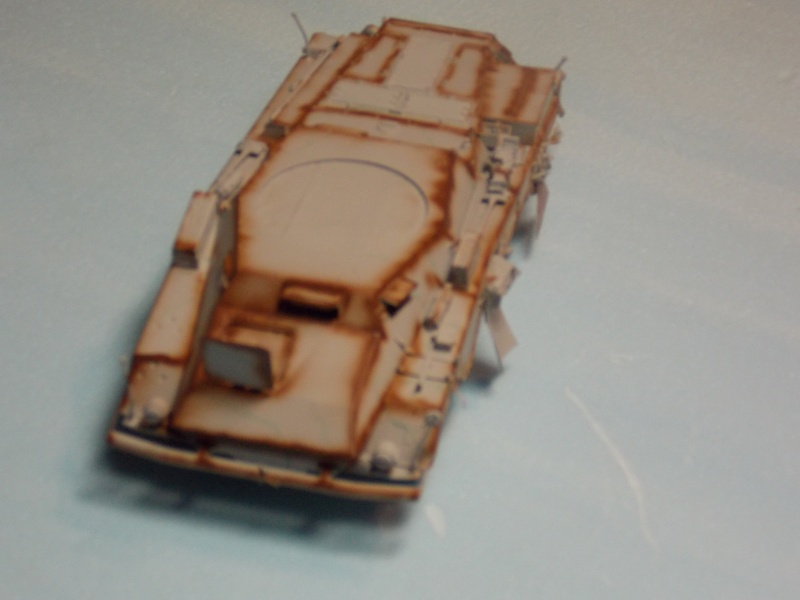 SD.KFZ 234 PUMA Normandie 44 (dragon 1/35) - Page 5 Dscn3211