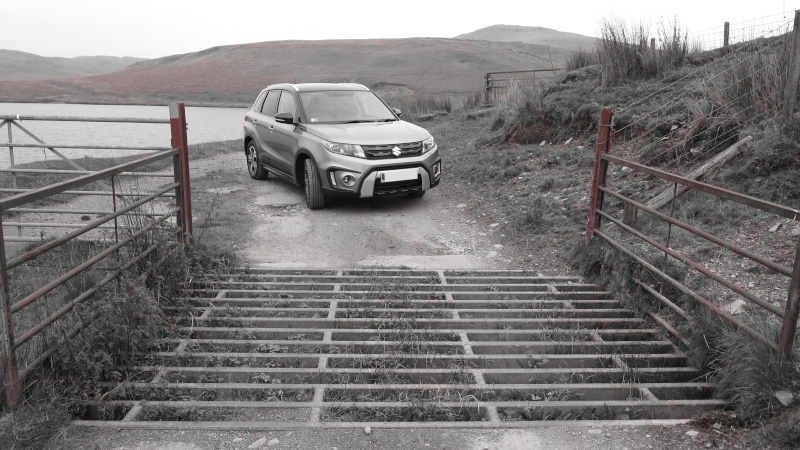 WALES, MINES AND VITARA'S Img_3410