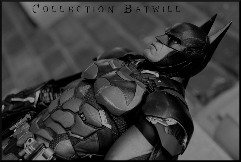 Ma collection batman  - Page 3 Img_5712