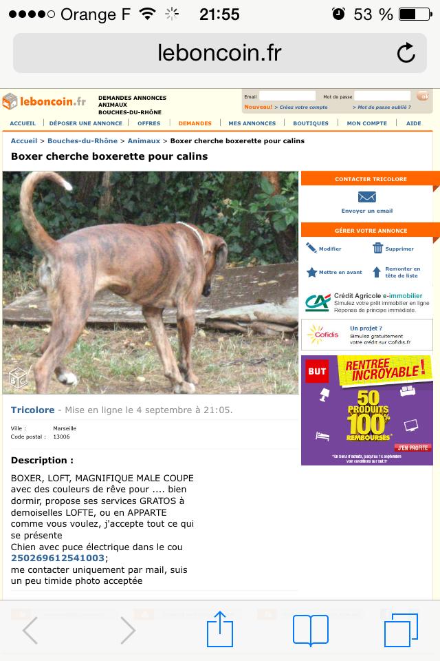 Action des éleveurs contre LBC : annonces fake 11215811
