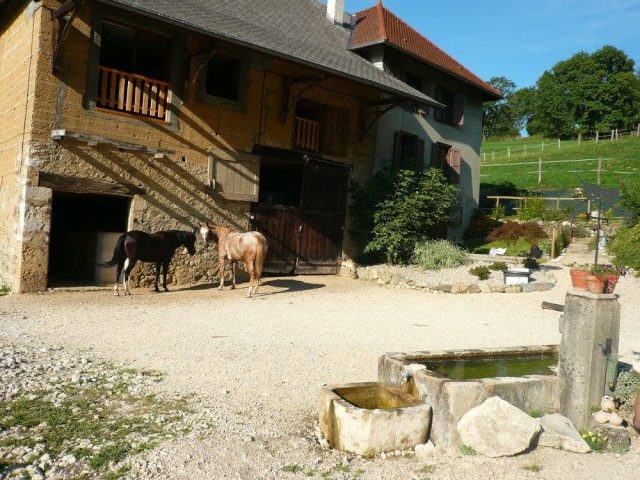 gite equestre le palefroi à Merlas 11879210