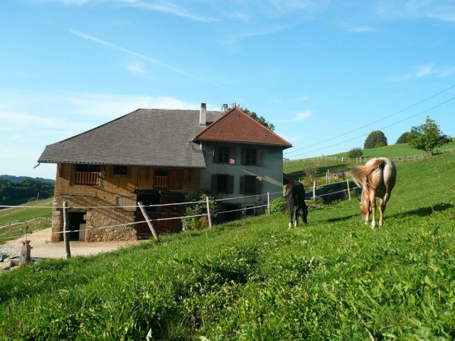 gite equestre le palefroi à Merlas 11953610