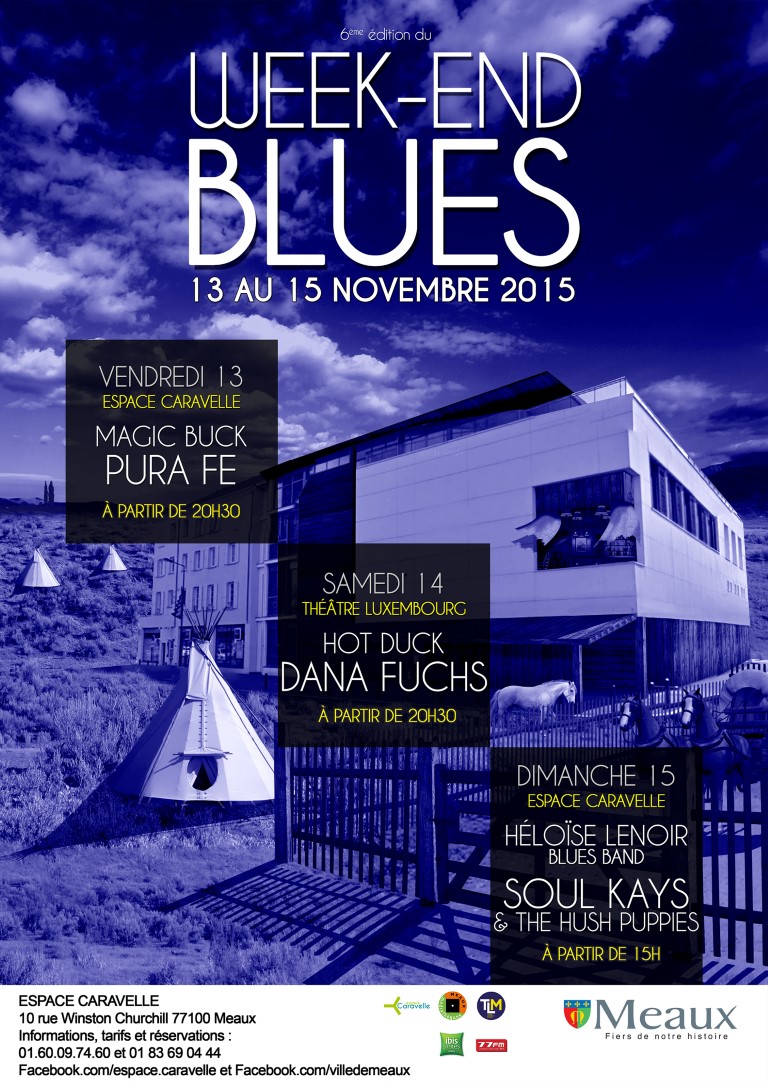Weekend Blues 2015 : 13,14 et 15 novembre. Flyer-10