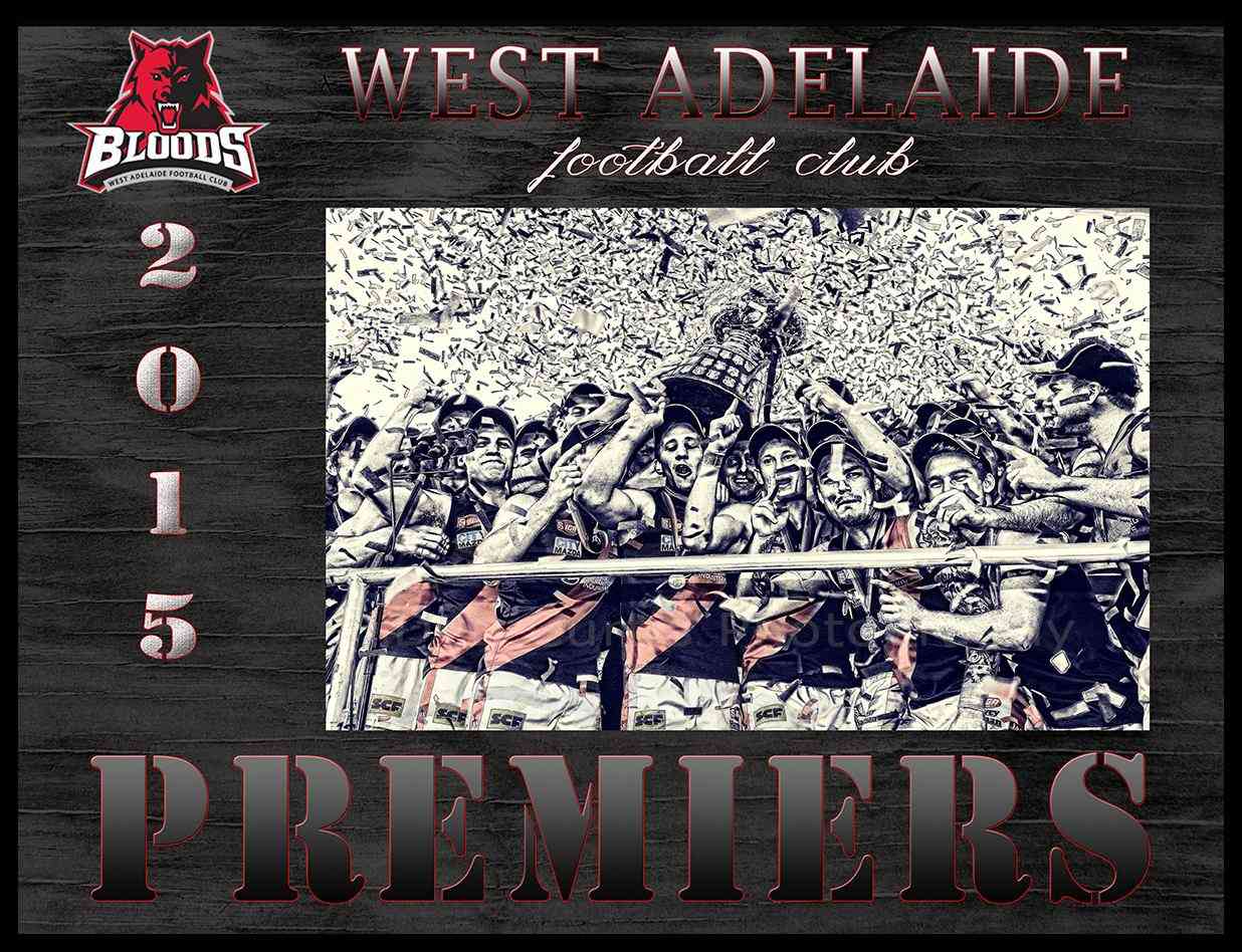 West Adelaide Football Club 2015 SANFL Premiers! - Page 4 Grand_10