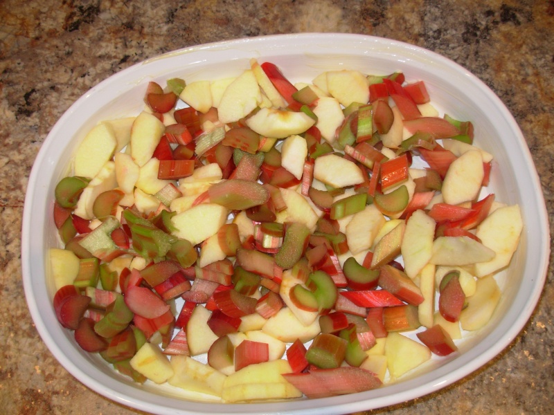 Croustillant aux pommes et rhubarbes Dscn7138