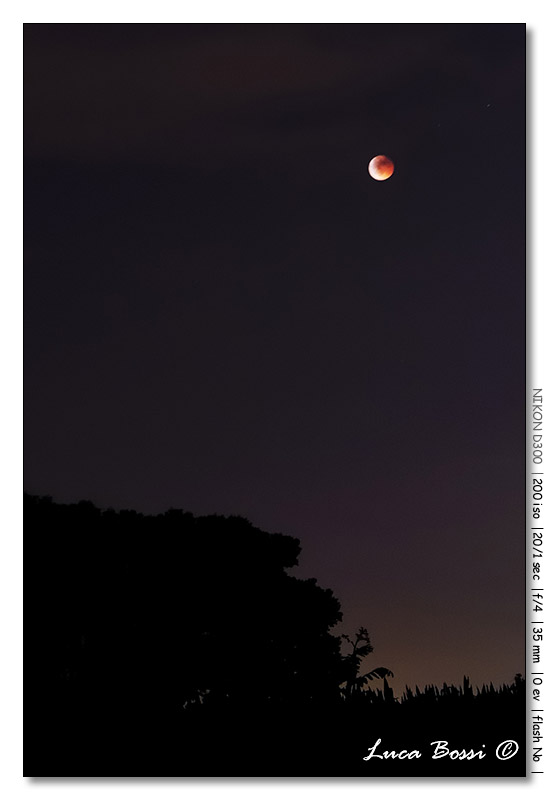 Luna Rossa - 15-06-2011 - LE FOTO Dsc_3916