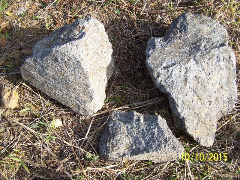 Are These Rocks Andesite & Would they contain Gold? 100_0911