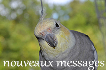 Pas de nouveaux messages [ Populaire ]