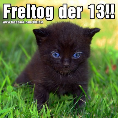 Guten Morgen - Seite 38 934f2110