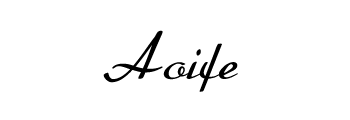 Les Calepins de Signe Aoifes10