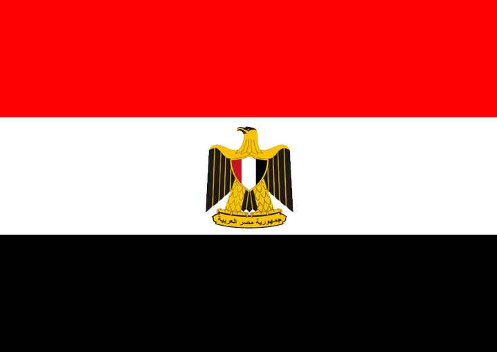 صور علم مصر 2011 Untitl10