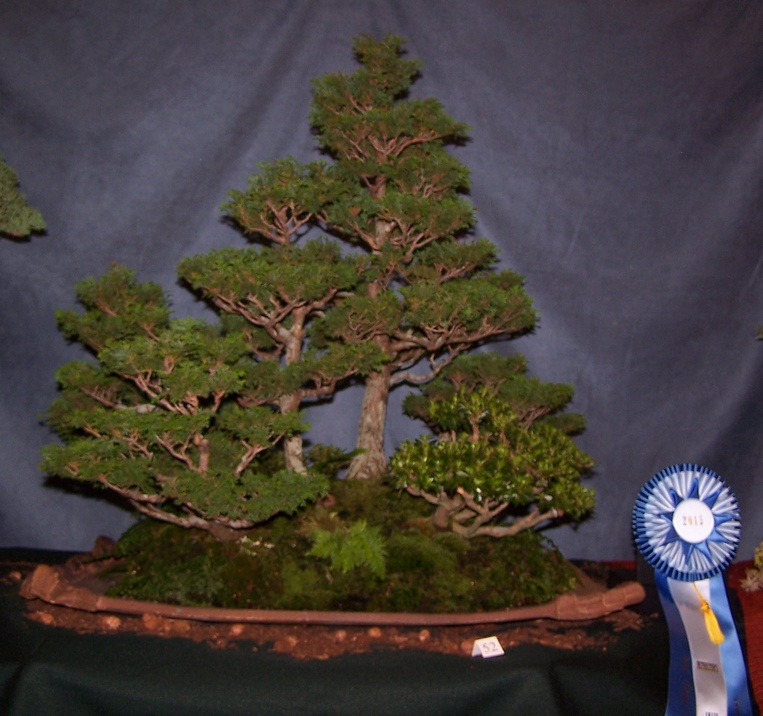 Carolina Bonsai Expo @ NC Arboretum Landsc10