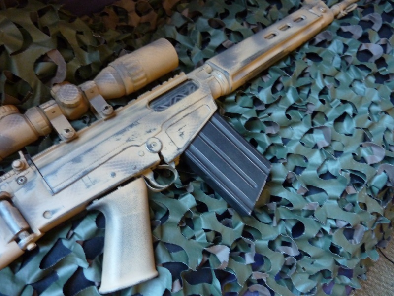 Fal custom paint by BT P1020023