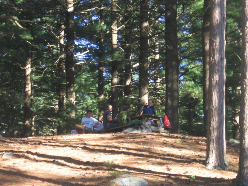 Trekking nel bosco con raccolta funghi a Casimir Pulasky State Park, RI 25210