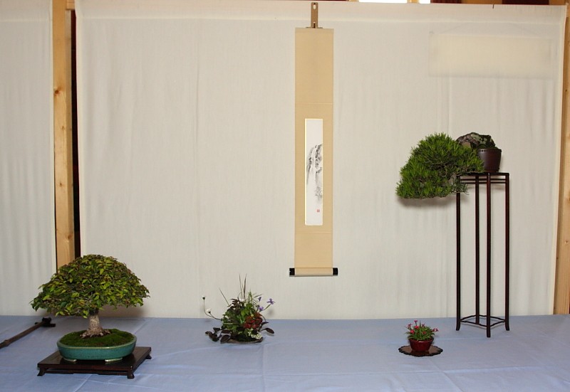 Our collaborative display at the Bonsai South West show held in Exmouth, UK  2_tree10