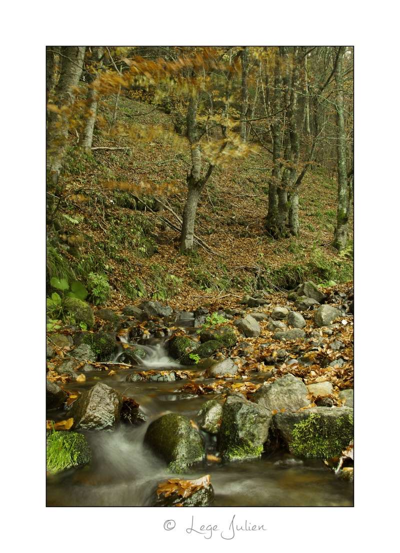 Vallée de Chaudefour MaJ 31/07/2017 _mg_9411