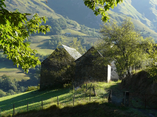 coucou Ferme_10