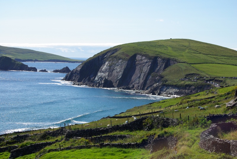 Irlande 2015 - Wild West Coast  - VVVVV- - Page 2 Imgp7613