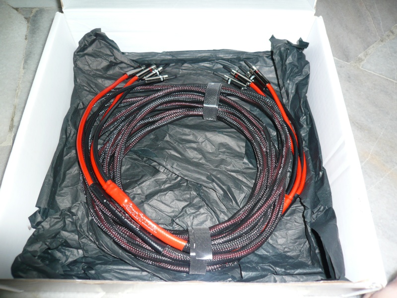 Black Rhodium Solo DCT Speaker Cables (used) B510