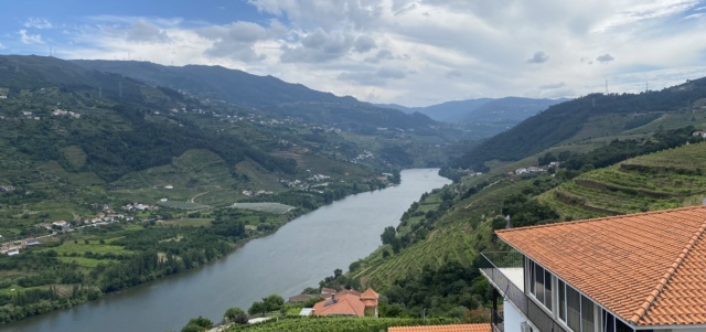 Vallée du Douro (Portugal) Img_0516