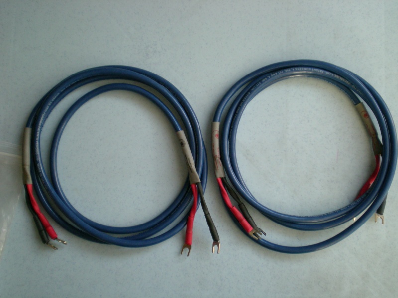 Cardas Crosslink speaker cable (used) Dscn0611