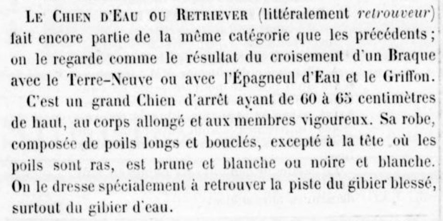 Le Chien d'Eau ou Retriever en 1876... Retrie10