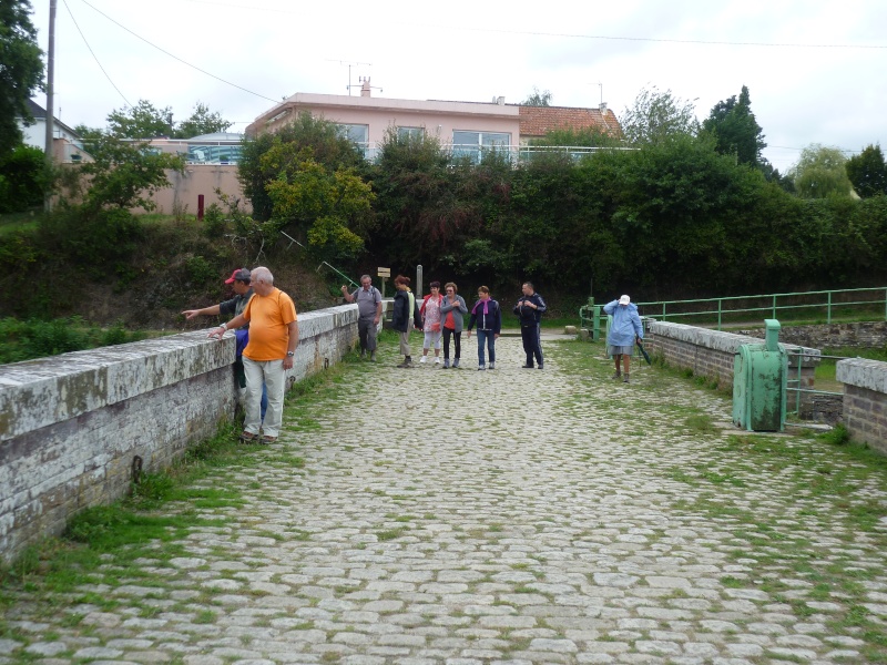 sortie du 13 septembre 2015- joué sur erdre P1100816