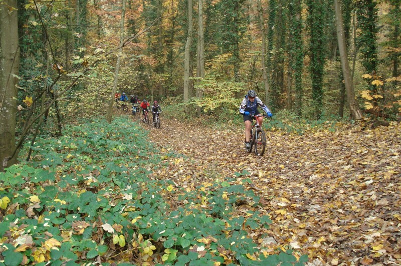 VTT dimanche 31 Dsc06810