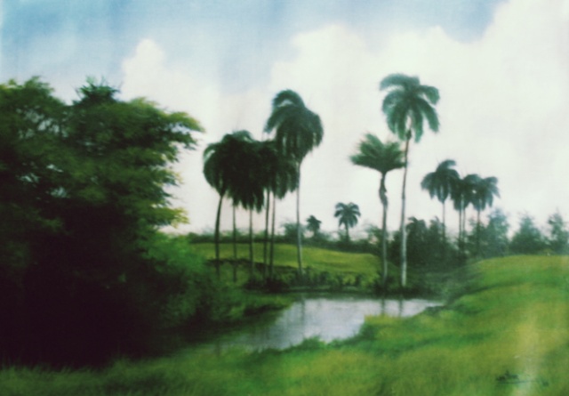 POR UNA CUBA MAS BELLA Arroyo10