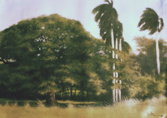 POR UNA CUBA MAS BELLA Campo10