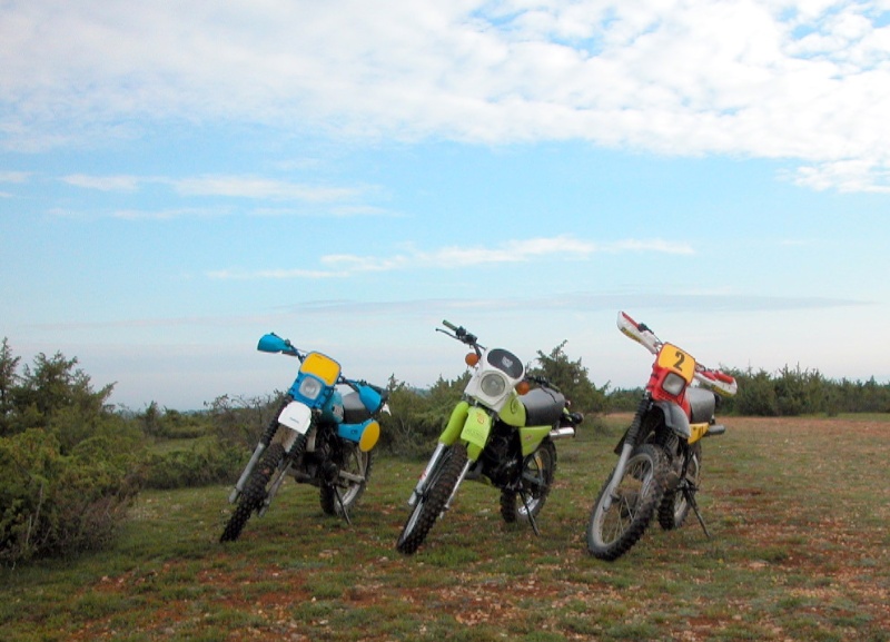 Sortie avec la moto du mois Dscn0418