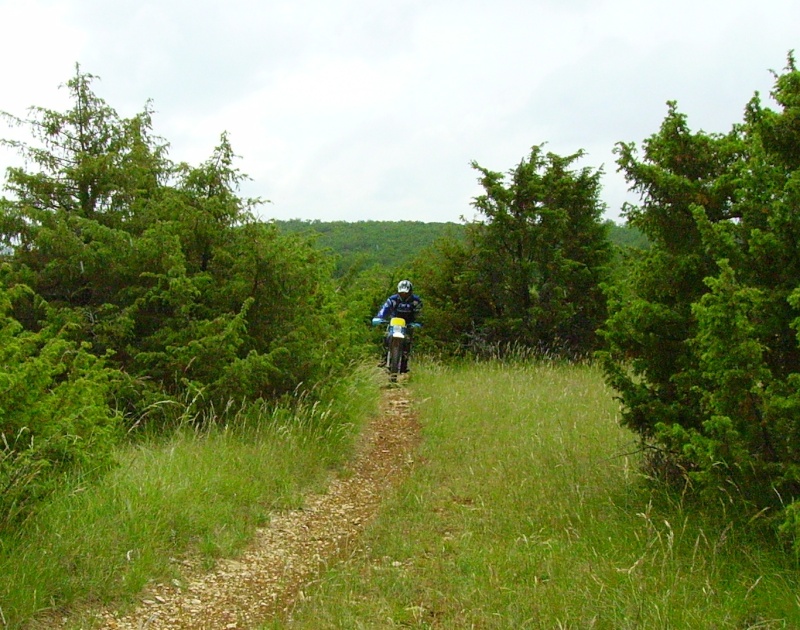 Sortie avec la moto du mois Hpp_mo10