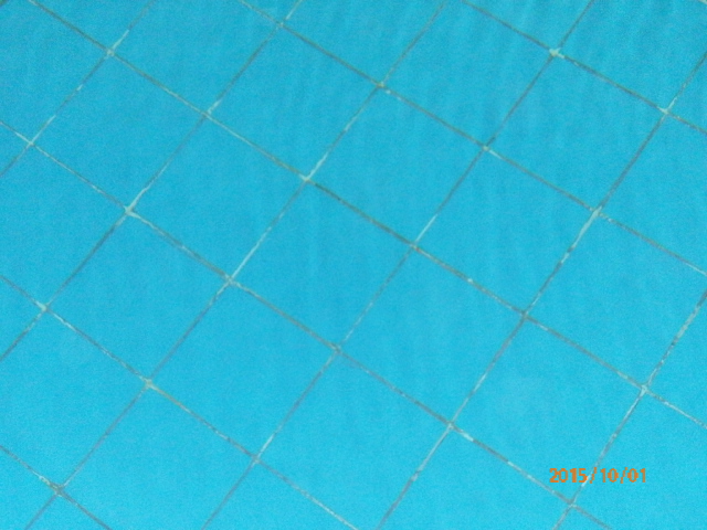معالجة حمامات السباحة(اعادة تاهيل حمامات سباحة-كلية التربية الرياضية-بنات-الزقازيق) Pa010615