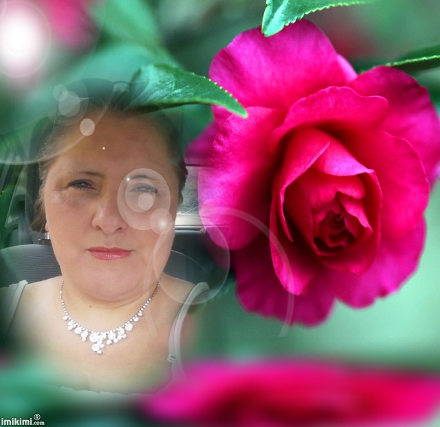 Montage de ma famille - Page 2 1d3vz-14