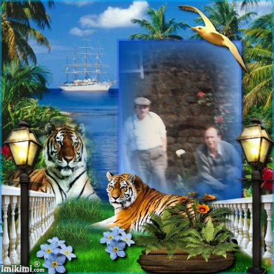 Montage de ma famille - Page 2 2zxda194