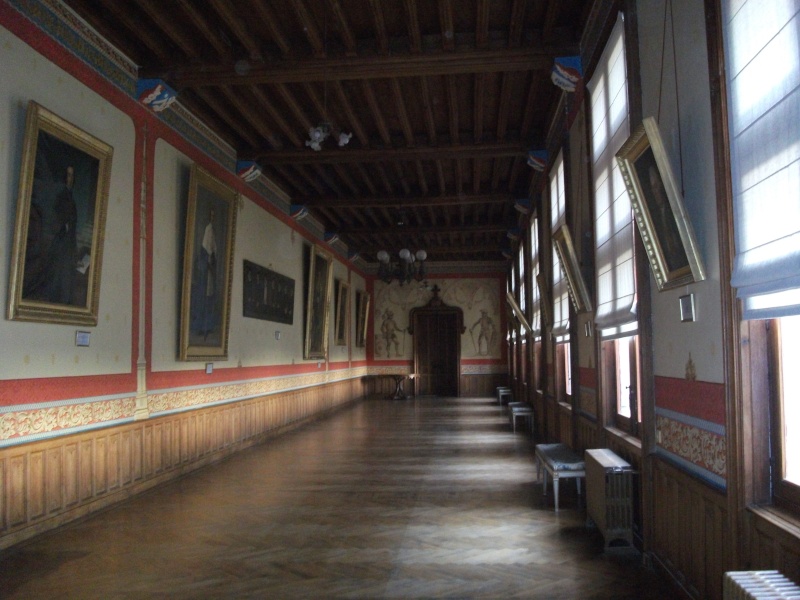 Le château de Brézé Images27