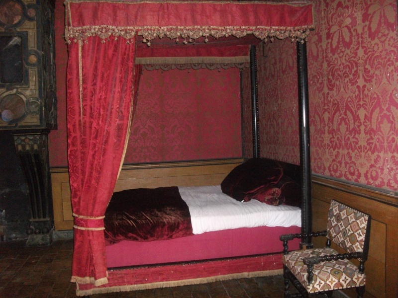 Le château de Brézé Images28