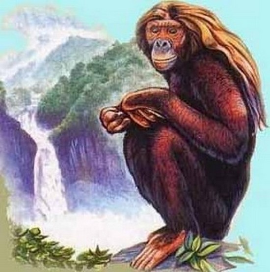 île de sumatra preuves Orang pendek sedapa hominidé inconnu grand primate cryptozoologie preuve Indonésie ADN