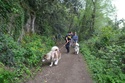 Urge dog trekking centro italia - Pagina 3 Dsc_0011