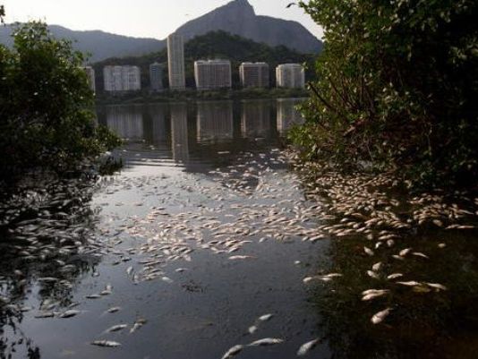 ACTIVIST: THOUSANDS OF FISH DEAD NEAR OLYMPIC PARK IN BRAZIL 63576410
