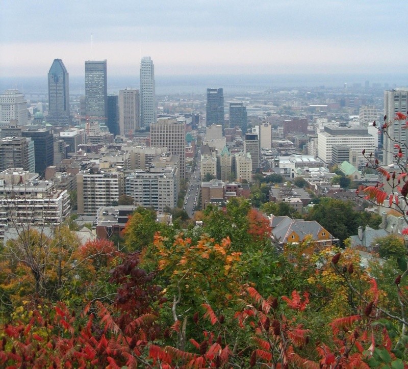 Le Quebec vu par un kébékoi - Page 3 Montre10