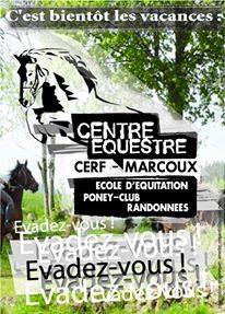 Stage Equitation_CERF_Marcoux_26 au 30 octobre 2015 Cerf_c10