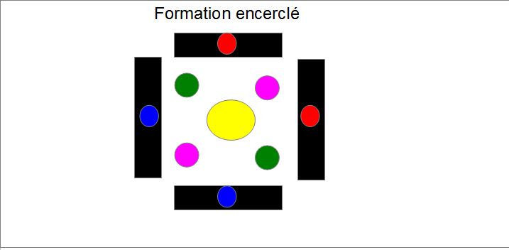 Entrainement aux formations militaires. Format12