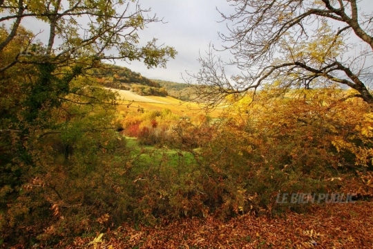 beauté d' automne , chez nous  Couelu10